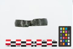 Foto von Bronzearmreif (NHMW-PRAE-025532)